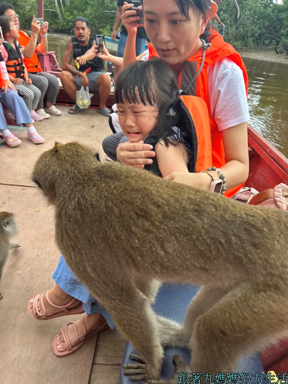 【國外旅遊.馬來西亞.沙巴.亞庇】.【包車行程.食記】2024年家族旅遊順便參加海外婚禮 - 第10張圖