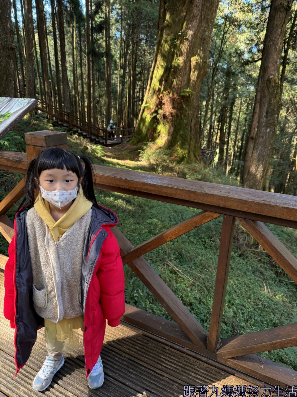 【阿里山.台南.關子嶺泡湯.過年.跟著丸媽媽吃喝玩樂】天搖地動的台南‧雷包王丸媽媽‧玩食物的時間到 - 第5張圖