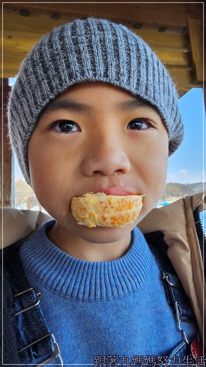 【福島‧吃喝玩樂】【會津若松城‧鶴城‧豬苗代湖‧餵鴨鴨】四天三夜福島自駕吃喝玩樂第二天 - 第32張圖