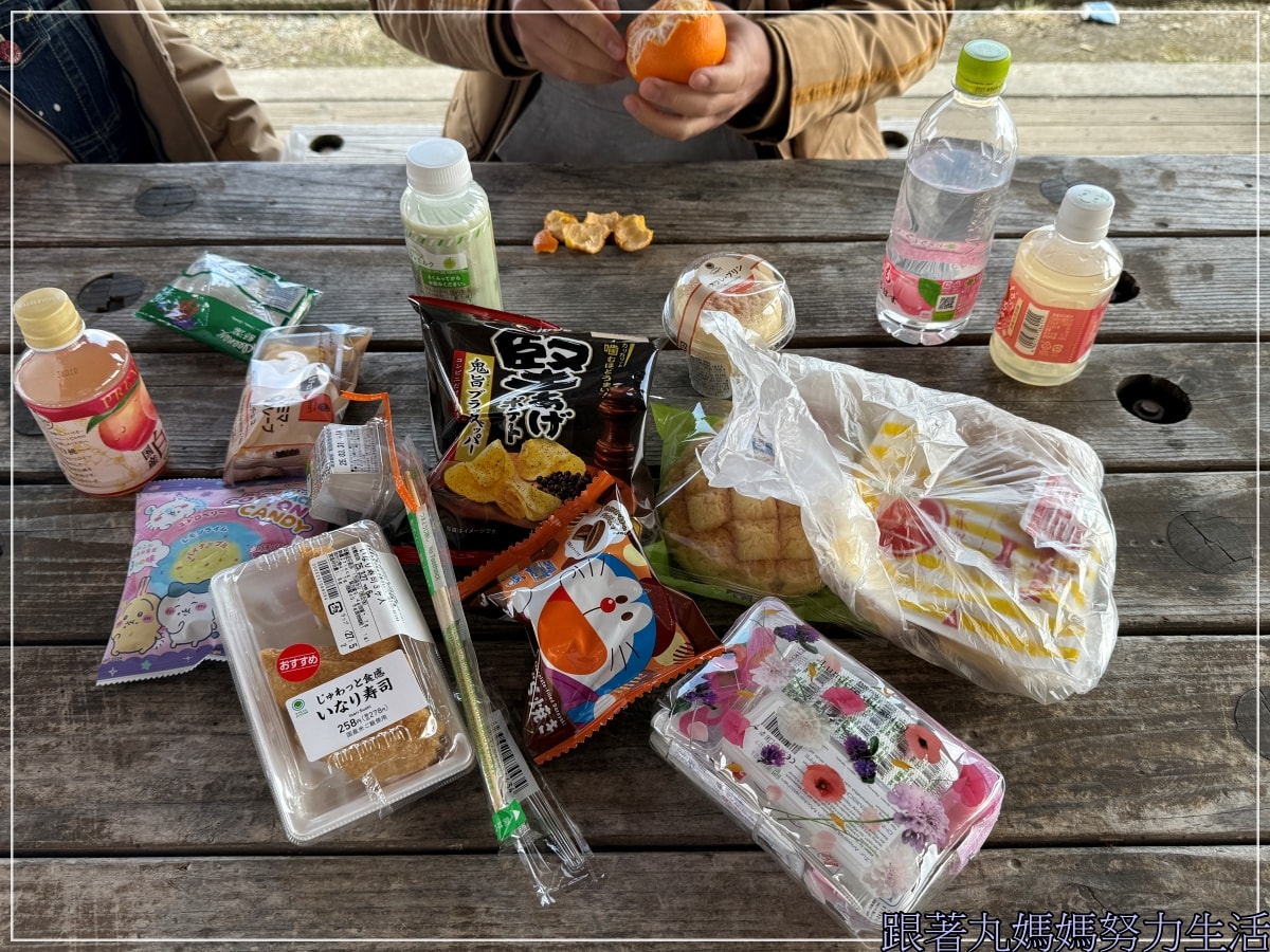 【福島‧吃喝玩樂】【會津若松城‧鶴城‧豬苗代湖‧餵鴨鴨】四天三夜福島自駕吃喝玩樂第二天 - 第26張圖
