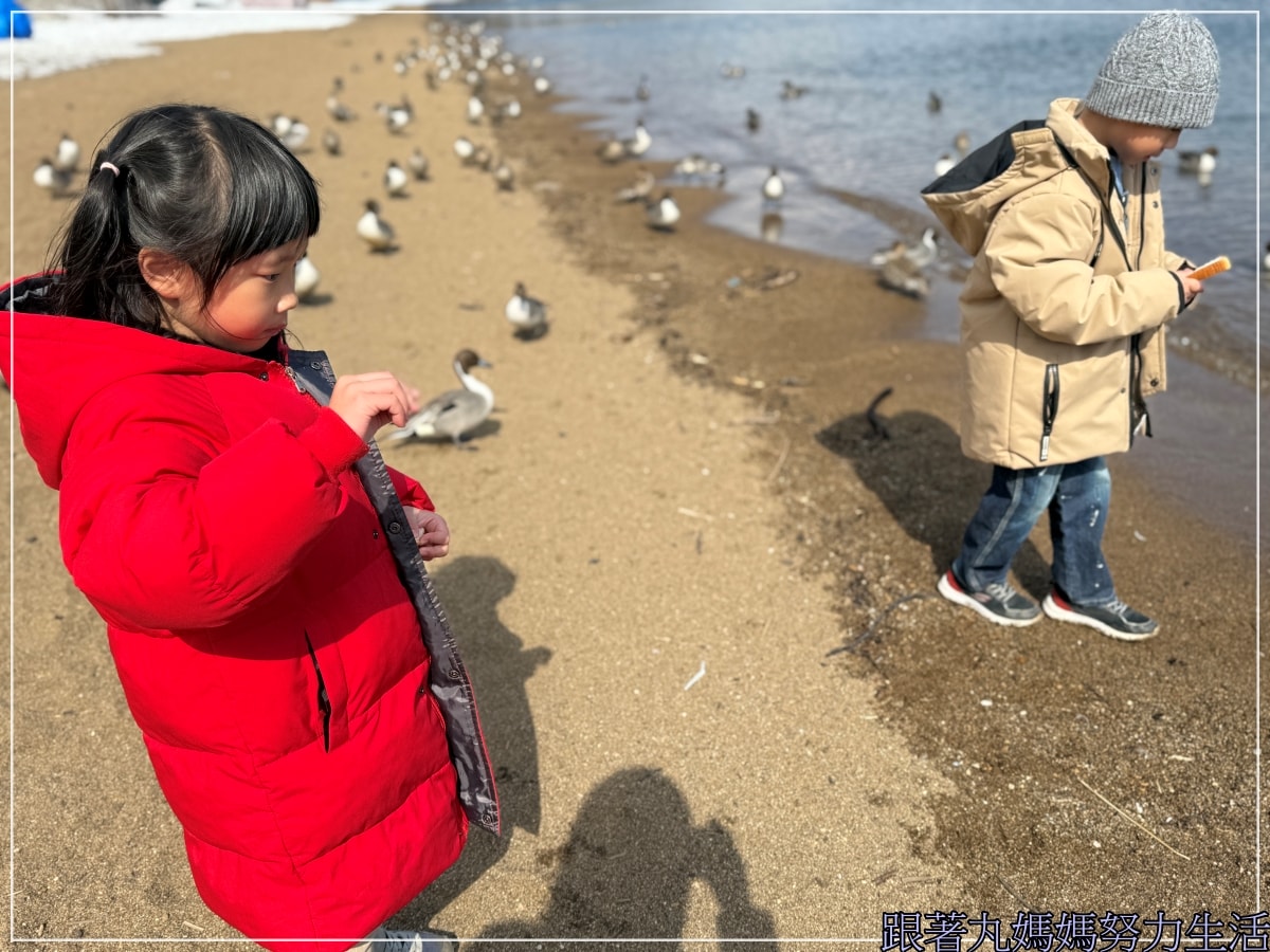 【福島‧吃喝玩樂】【會津若松城‧鶴城‧豬苗代湖‧餵鴨鴨】四天三夜福島自駕吃喝玩樂第二天 - 第36張圖