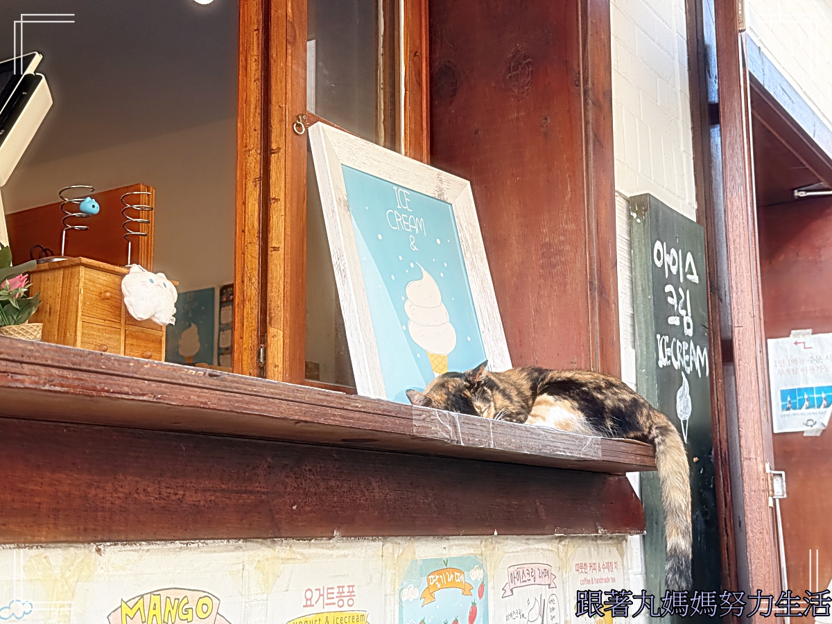【韓國.釜山】【Egg Drop2.0.KK day跟團行程.百年食堂烤肉】【海東龍宮寺 +青沙浦天空步道+ 藍線公園海岸列車 + 白淺灘文化村 + 甘川洞文化村】行程不雷但是人很雷的故事來了·Day3·Ep2 - 第25張圖