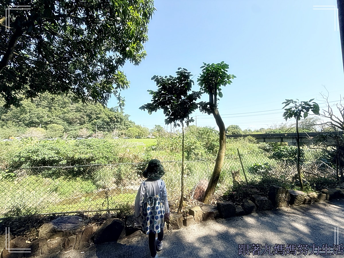 【宜蘭．流水森林．忍者村．樂色山】【台南．阿文米粿．四草綠色隧道．曾文水庫．台南趣淘漫旅】跟著丸媽玩．春節連假遊牧民族生活