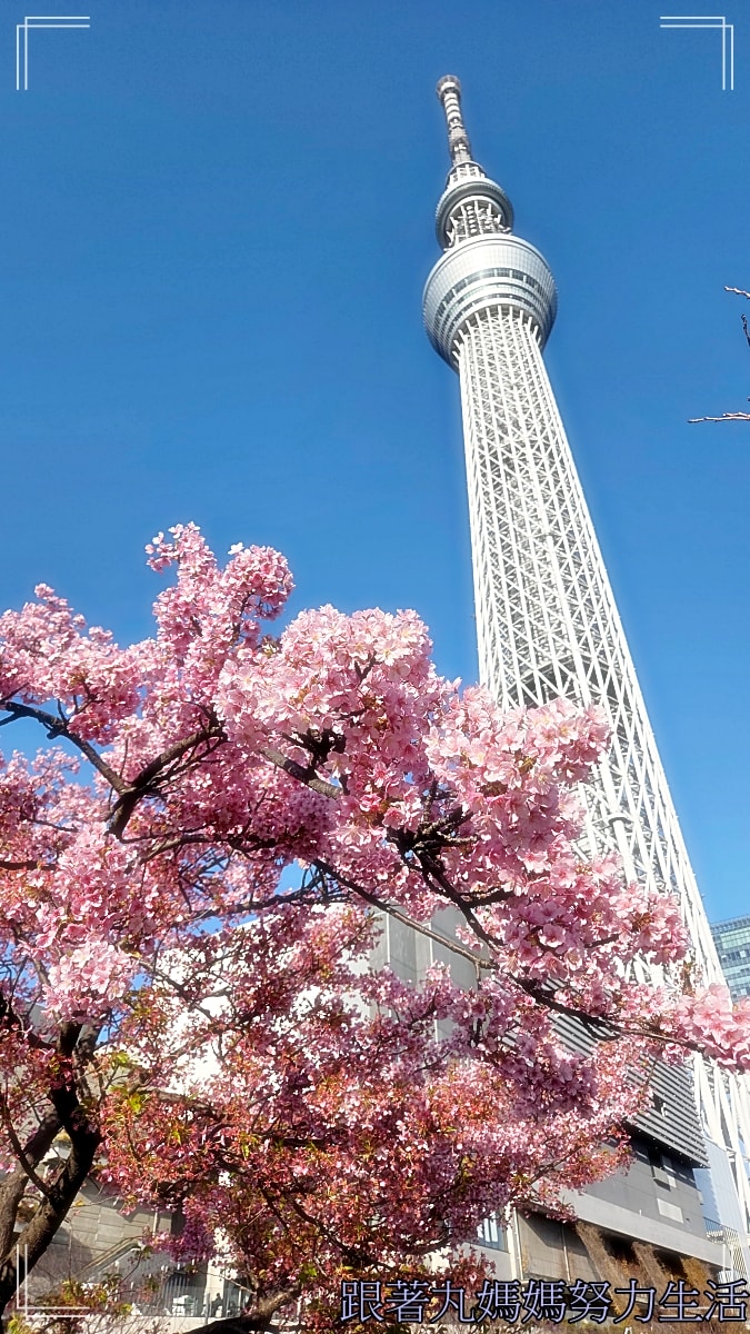 【2026WBC棒球經典賽.東京之旅.住宿】看的到晴空塔的住宿 - 第5張圖 【2026WBC棒球經典賽.東京之旅.住宿】看的到晴空塔的住宿