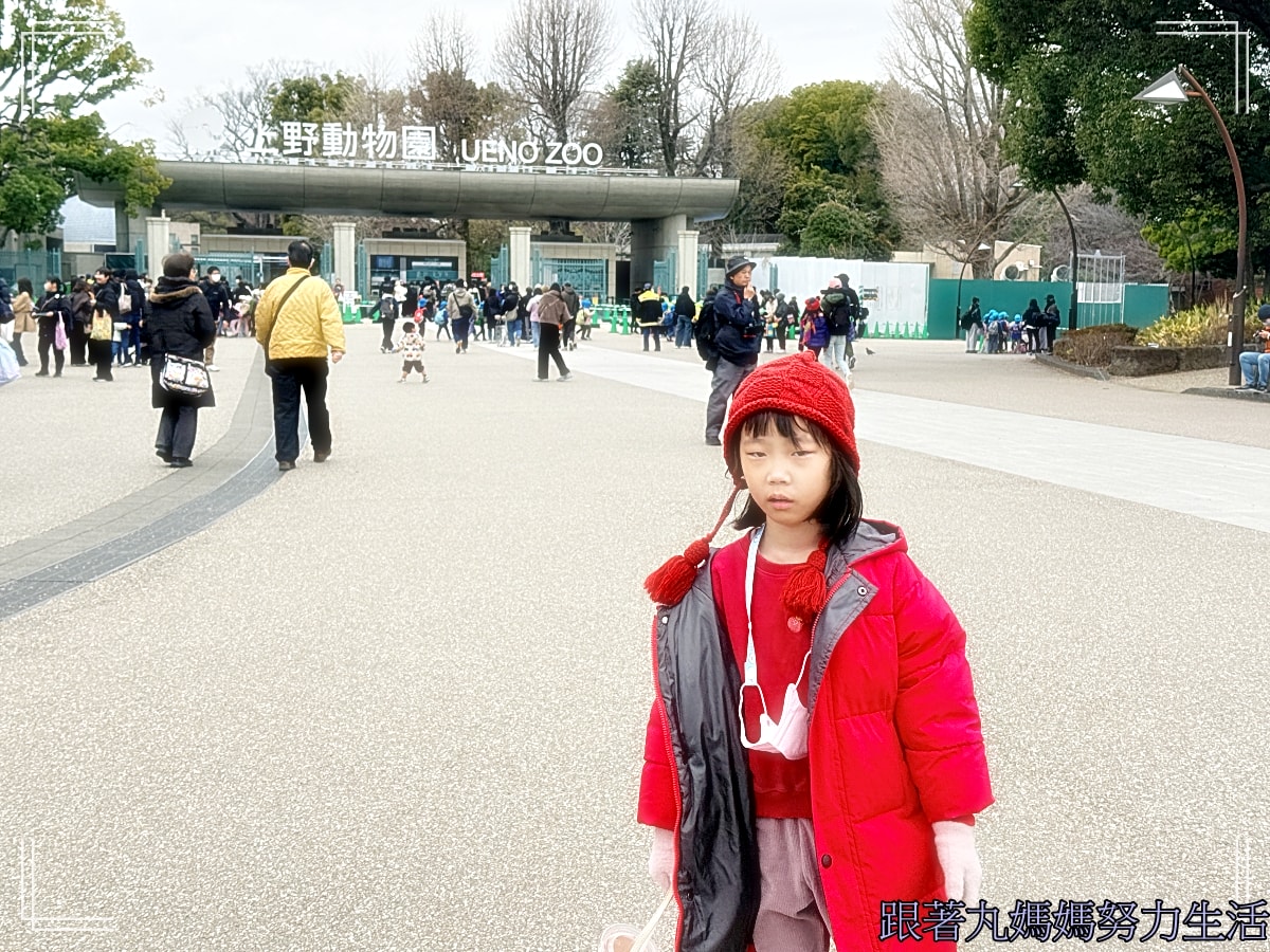 【2026WBC棒球經典賽．東京之旅．自助旅行】行前準備