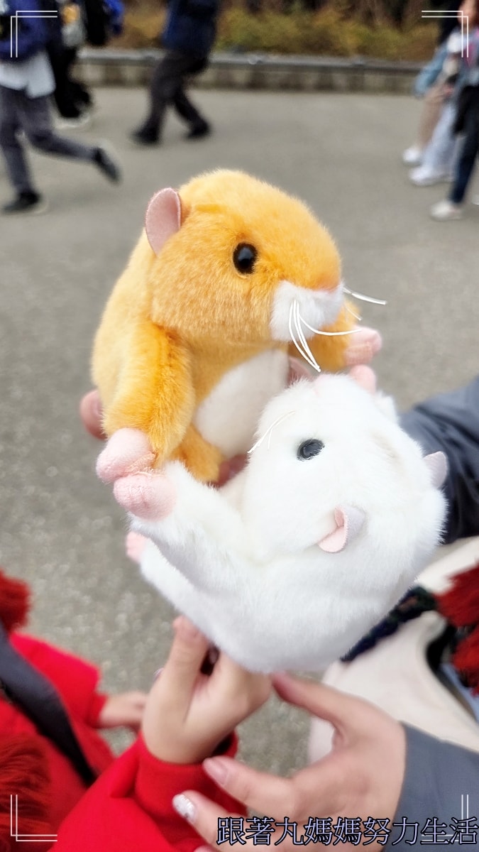 【2026WBC棒球經典賽.東京之旅.上野動物園】除了上野動物園還有雷上加雷的我們發威了 - 第40張圖 【2026WBC棒球經典賽.東京之旅.上野動物園】除了上野動物園還有雷上加雷的我們發威了