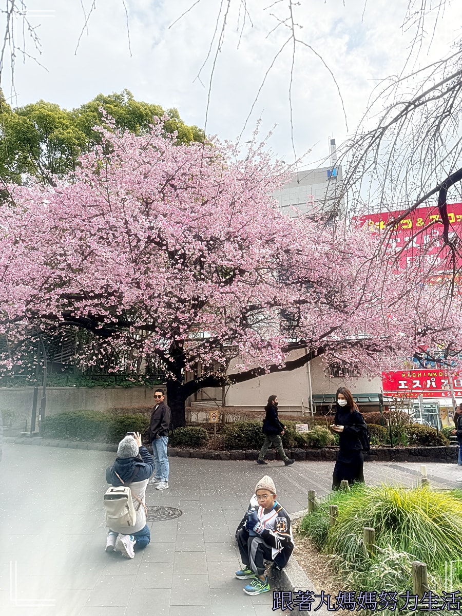 【2026WBC棒球經典賽.東京之旅.上野動物園】除了上野動物園還有雷上加雷的我們發威了 - 第14張圖 【2026WBC棒球經典賽.東京之旅.上野動物園】除了上野動物園還有雷上加雷的我們發威了
