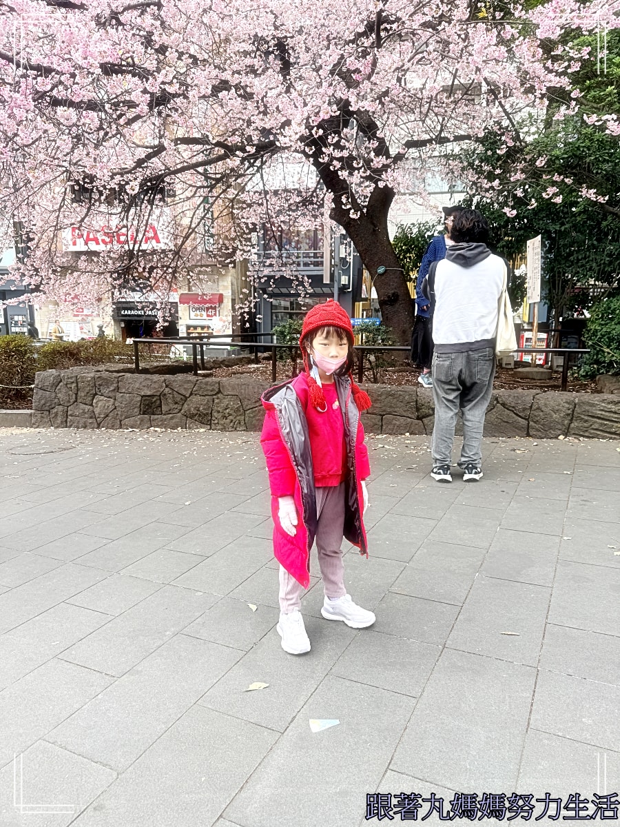【2026WBC棒球經典賽.東京之旅.上野動物園】除了上野動物園還有雷上加雷的我們發威了 - 第5張圖 【2026WBC棒球經典賽.東京之旅.上野動物園】除了上野動物園還有雷上加雷的我們發威了