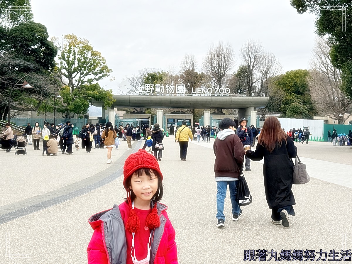 【2026WBC棒球經典賽.東京之旅.上野動物園】除了上野動物園還有雷上加雷的我們發威了 - 第16張圖 【2026WBC棒球經典賽.東京之旅.上野動物園】除了上野動物園還有雷上加雷的我們發威了