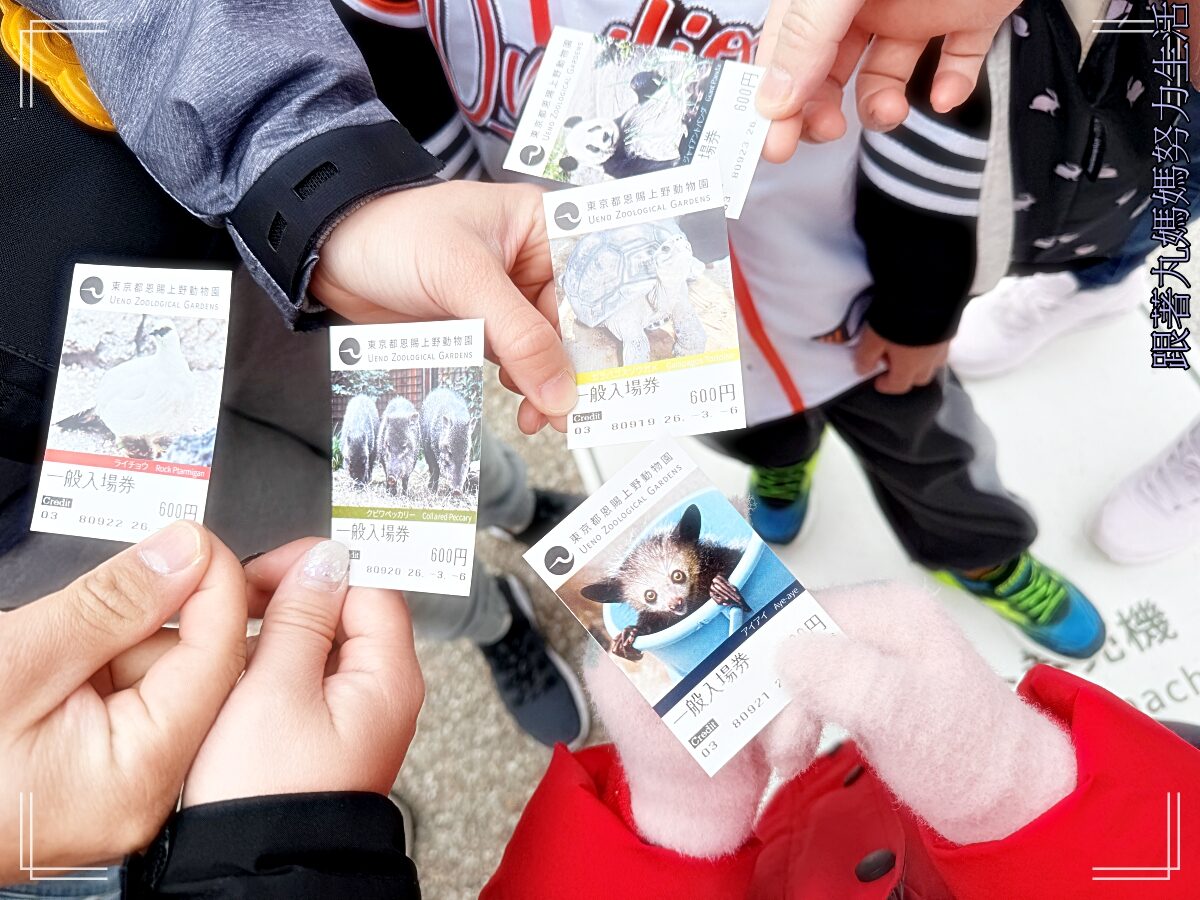 【2026WBC棒球經典賽.東京之旅.上野動物園】除了上野動物園還有雷上加雷的我們發威了 - 第17張圖 【2026WBC棒球經典賽.東京之旅.上野動物園】除了上野動物園還有雷上加雷的我們發威了