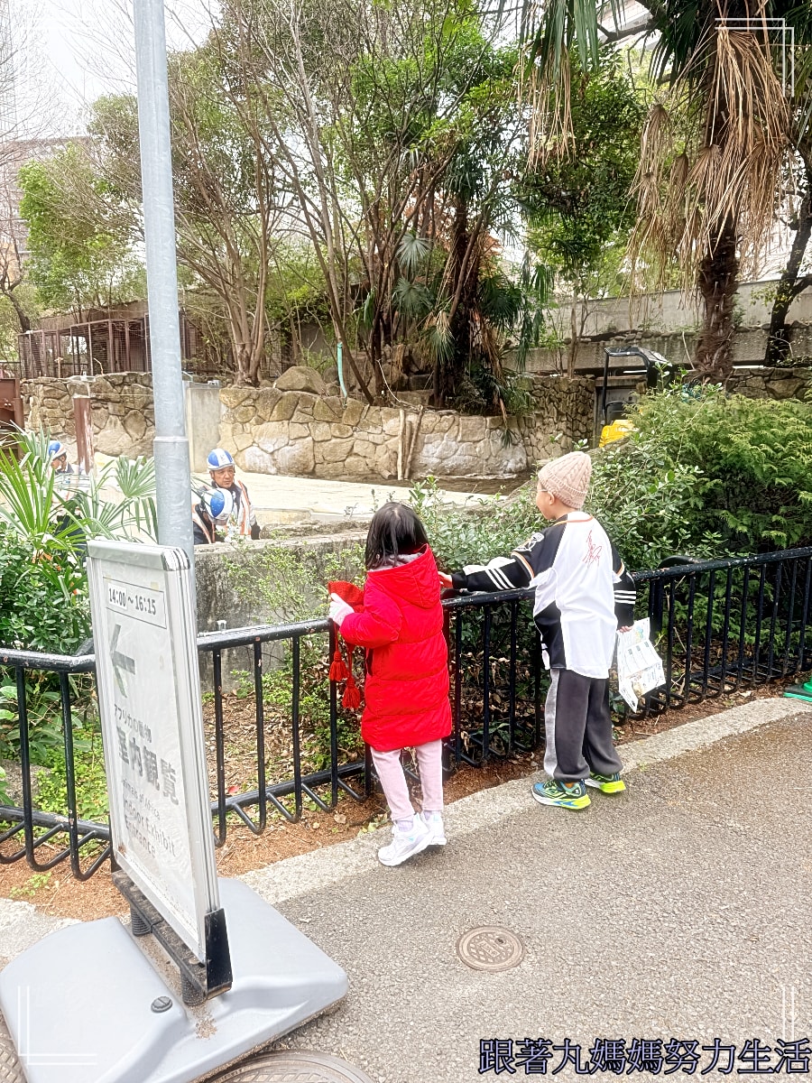 【2026WBC棒球經典賽.東京之旅.上野動物園】除了上野動物園還有雷上加雷的我們發威了 - 第31張圖 【2026WBC棒球經典賽.東京之旅.上野動物園】除了上野動物園還有雷上加雷的我們發威了