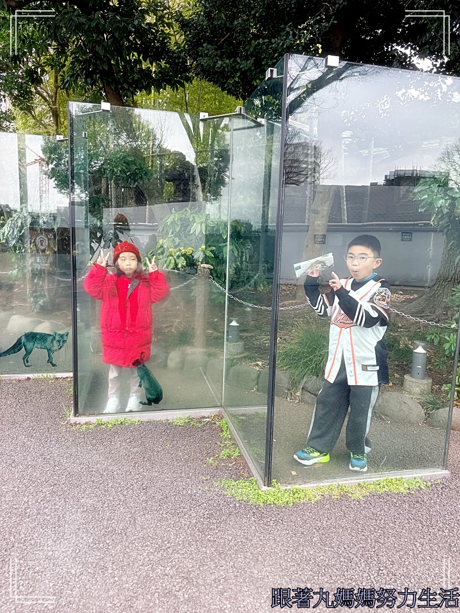 【2026WBC棒球經典賽.東京之旅.上野動物園】除了上野動物園還有雷上加雷的我們發威了 - 第30張圖 【2026WBC棒球經典賽.東京之旅.上野動物園】除了上野動物園還有雷上加雷的我們發威了