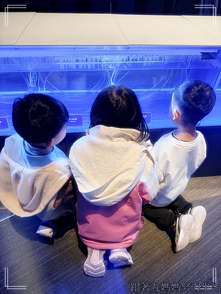 【2026WBC棒球經典賽.東京之旅.淺草雷門.墨田水族館】雷門我們來了.墨田水族館真棒 - 第38張圖 【2026WBC棒球經典賽.東京之旅.淺草雷門.墨田水族館】雷門我們來了.墨田水族館真棒