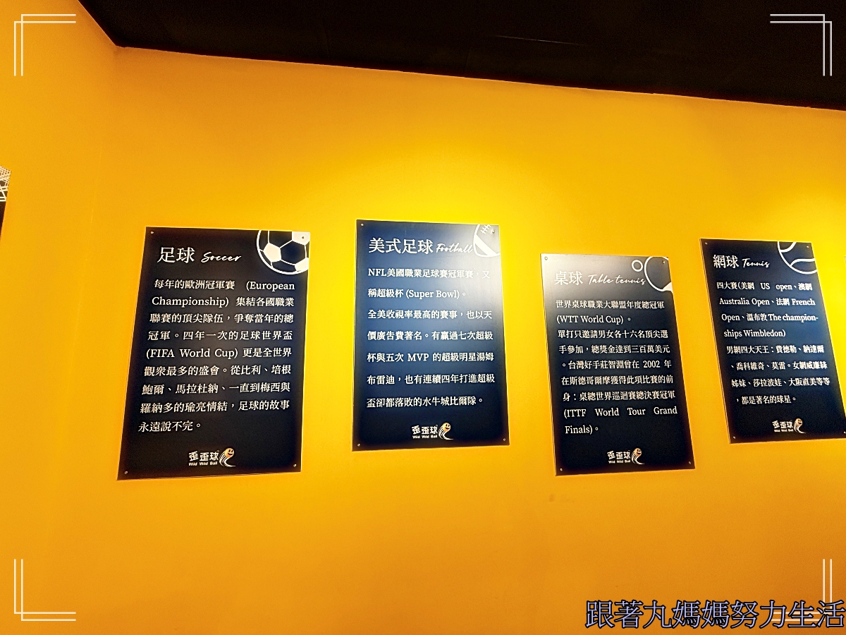 【宜蘭.蘇澳.歪歪球】歪歪球真人彈珠檯 - 第5張圖 【宜蘭.蘇澳.歪歪球】歪歪球真人彈珠檯